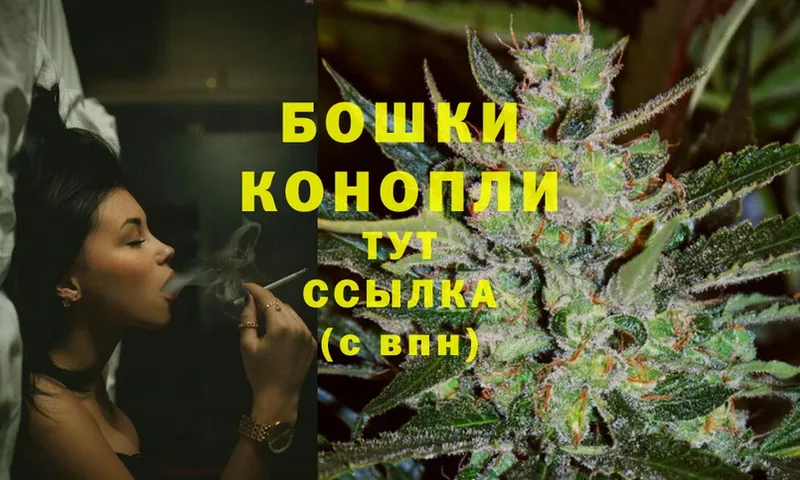 Бошки марихуана OG Kush  где продают наркотики  Гаврилов-Ям 